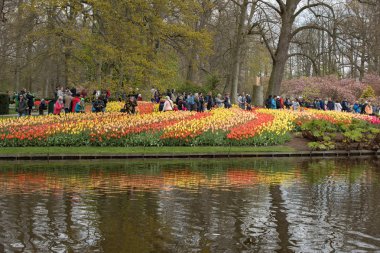 Lisse, Hollanda, Hollanda Keukenhof Garden ziyaretçi.