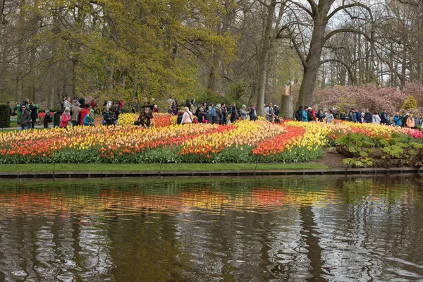 Lisse, Hollanda, Hollanda Keukenhof Garden ziyaretçi. — Stok fotoğraf