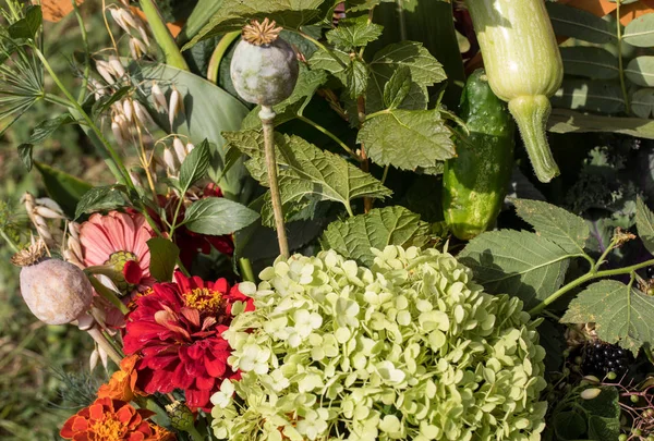 Belos buquês feitos à mão de flores e ervas — Fotografia de Stock