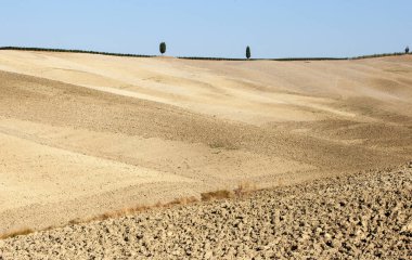 Tuscany kırsal manzara. İtalya