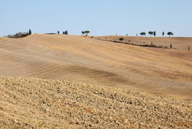 Tuscany kırsal manzara. İtalya