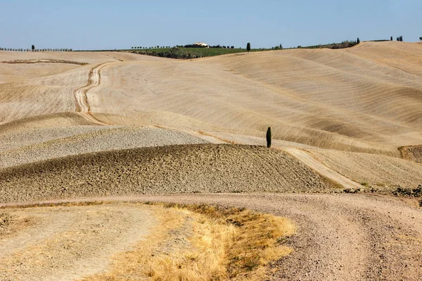 Die ländliche Landschaft der Toskana. Italien — Stockfoto