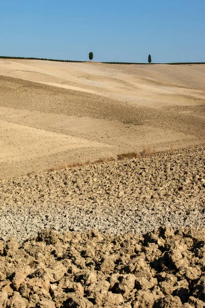 Tuscany kırsal manzara. İtalya