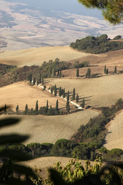 Le paysage rural de la Toscane. Italie — Photo