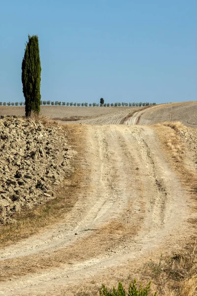 The rural landscape of the  Tuscany. Italy — Stock Photo, Image