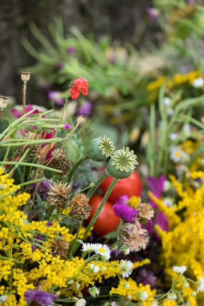 Mazzi di fiori fatti a mano da fiori ed erbe — Foto Stock