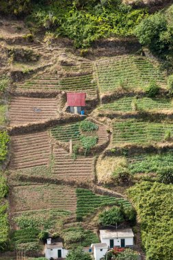  Sao Vicente 'nin çevresindeki köy ve teras ekimi. Madeira Adası, Portekiz 'in kuzey kıyısı.