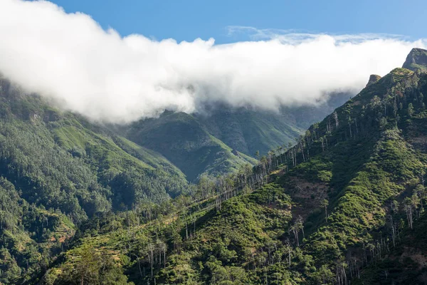 Güneye doğru--dan belgili tanımlık geçmek Boca da Encumeada Madeira görüntülemek