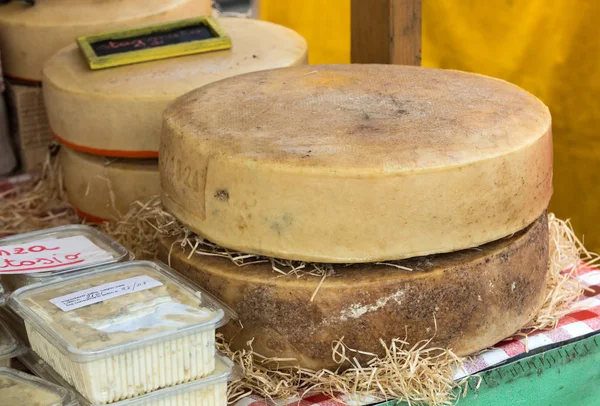 Асортимент різних видів сиру — стокове фото