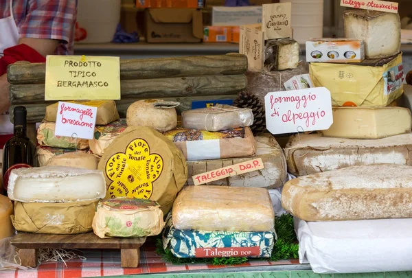 Assortiment van verschillende soorten kaas — Stockfoto