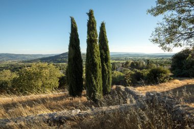 Provence, Fransa Saint-Saturnin-les-Apt Muehle içinde içinde üç selvi
