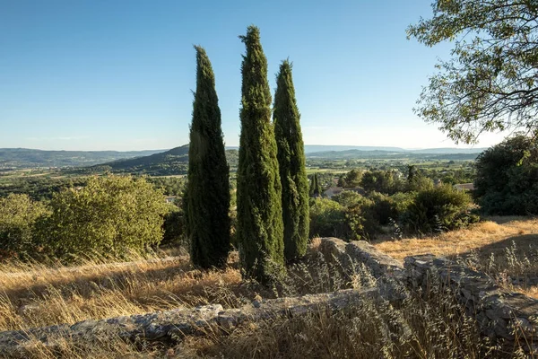 Provence, Fransa Saint-Saturnin-les-Apt Muehle içinde içinde üç selvi — Stok fotoğraf