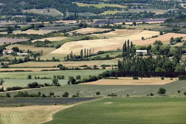 Lappendeken van Farmer's velden in de vallei hieronder Sault, Provence Frankrijk — Stockfoto