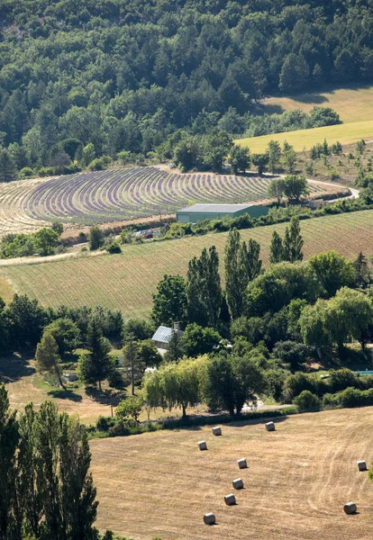 Lappendeken van Farmer's velden in de vallei hieronder Sault, Provence Frankrijk — Stockfoto