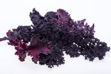 Beyaz arka plan üzerinde izole taze mor kıvırcık lahana lahana