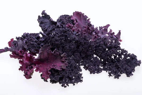 Beyaz arka plan üzerinde izole taze mor kıvırcık lahana lahana