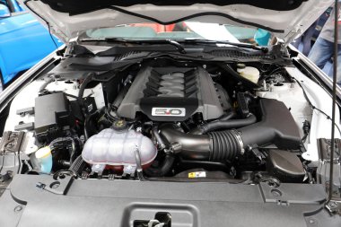 Ford Mustang Gt Moto Show Cracow Polonya 3rd edition nde sergilenmektedir. Katılımcı otomotiv sektörünün en ilginç yönleri mevcut