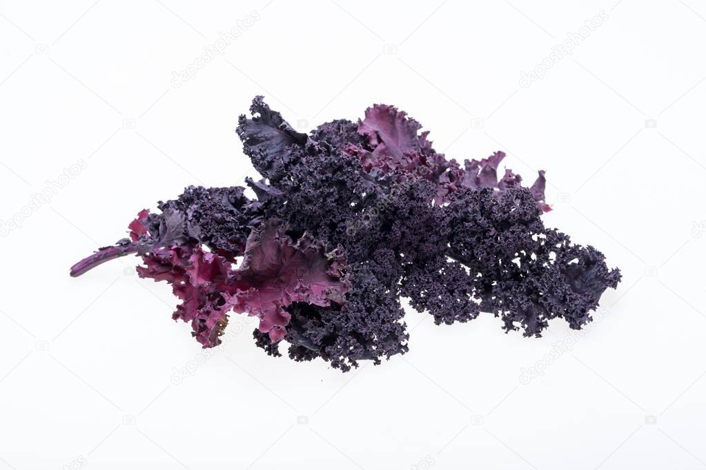 Freshly purple curly kale cabbage isolated on white background