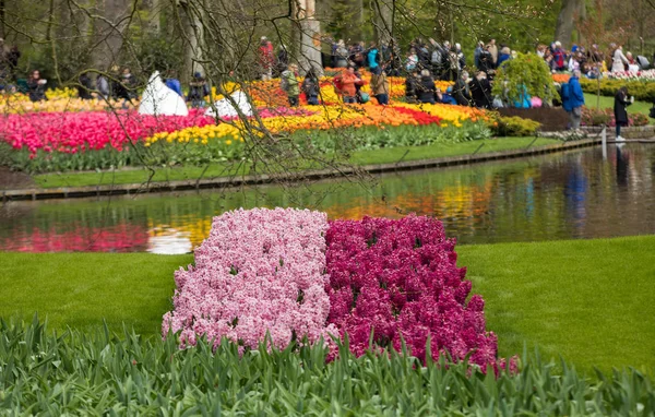 Visitantes do Jardim Keukenhof em Lisse, Holanda, Países Baixos . — Fotografia de Stock