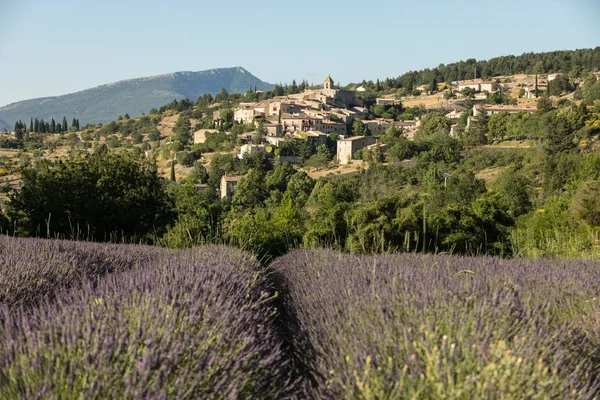 Un campo de lavanda con el pueblo de Aurel más allá, el Vaucluse, Provenza, Francia — Foto de Stock