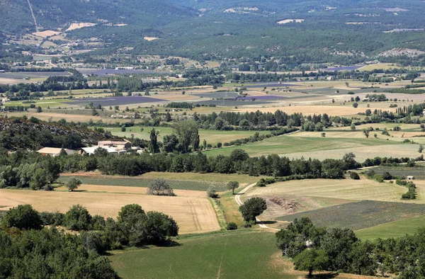 Patchwork a mezőgazdasági termelő területeket, alábbi Sault, Provence Franciaország-völgyben — Stock Fotó