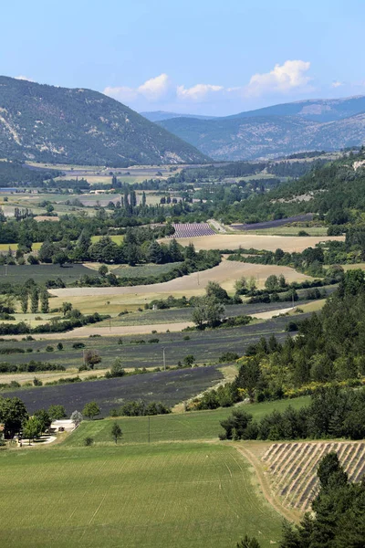 Lapptäcke av bondens fält i dalen nedanför Sault, Provence Frankrike — Stockfoto