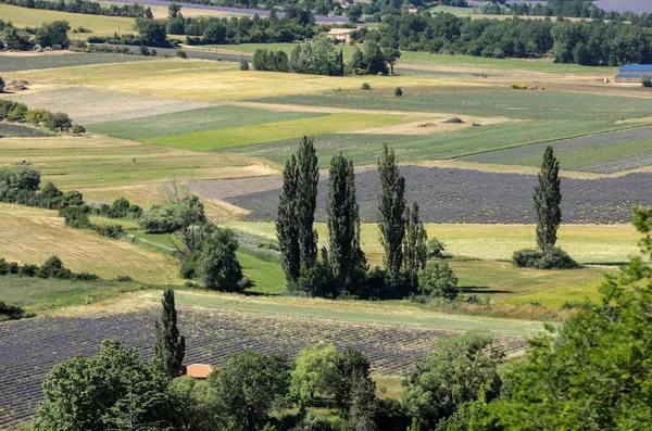 Patchwork des champs de fermiers dans la vallée en contrebas de Sault, Provence France — Photo