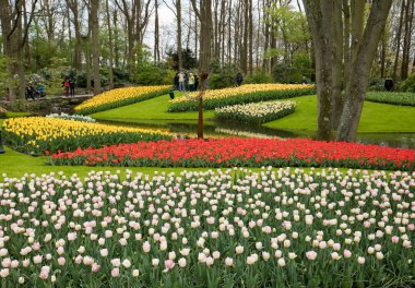 Lisse, Hollanda, Hollanda Keukenhof Garden ziyaretçi.