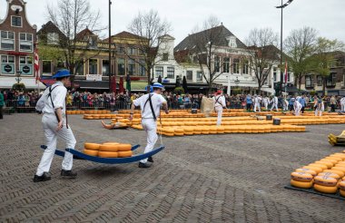  Alkmaar, Hollanda ünlü Hollandalı peynir pazarında birçok peynir ile yürüyüş uçak gemisi. Waagplein Meydanı'nda olay olur. 