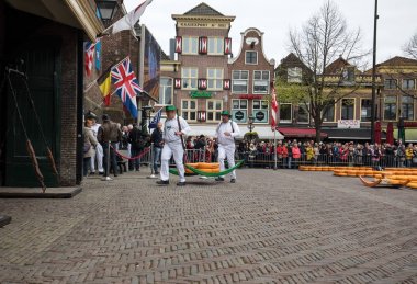  Alkmaar, Hollanda ünlü Hollandalı peynir pazarında birçok peynir ile yürüyüş uçak gemisi. Waagplein Meydanı'nda olay olur. 