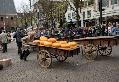 Hollanda, sadece dört geleneksel Hollanda peynir piyasalarda hala varlığını ve bir ülkenin en popüler turistik Alkmaar şehir tipik peynir pazarı. 