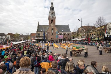 Hollanda, sadece dört geleneksel Hollanda peynir piyasalarda hala varlığını ve bir ülkenin en popüler turistik Alkmaar şehir tipik peynir pazarı. 