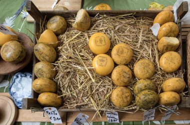 Bir sokak pazarında Alkmaar Hollanda peynir. Hollanda