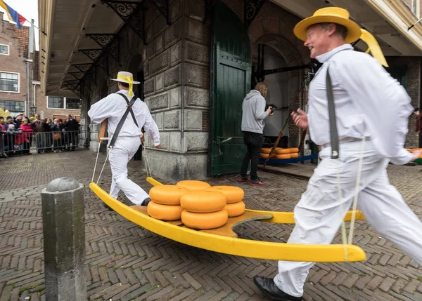 Portadores caminando con muchos quesos en el famoso mercado holandés de queso en Alkmaar, Países Bajos. El evento ocurre en la plaza Waagplein . —  Fotos de Stock