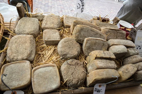 Fromage hollandais sur un marché de rue à Alkmaar. Pays Bas — Photo