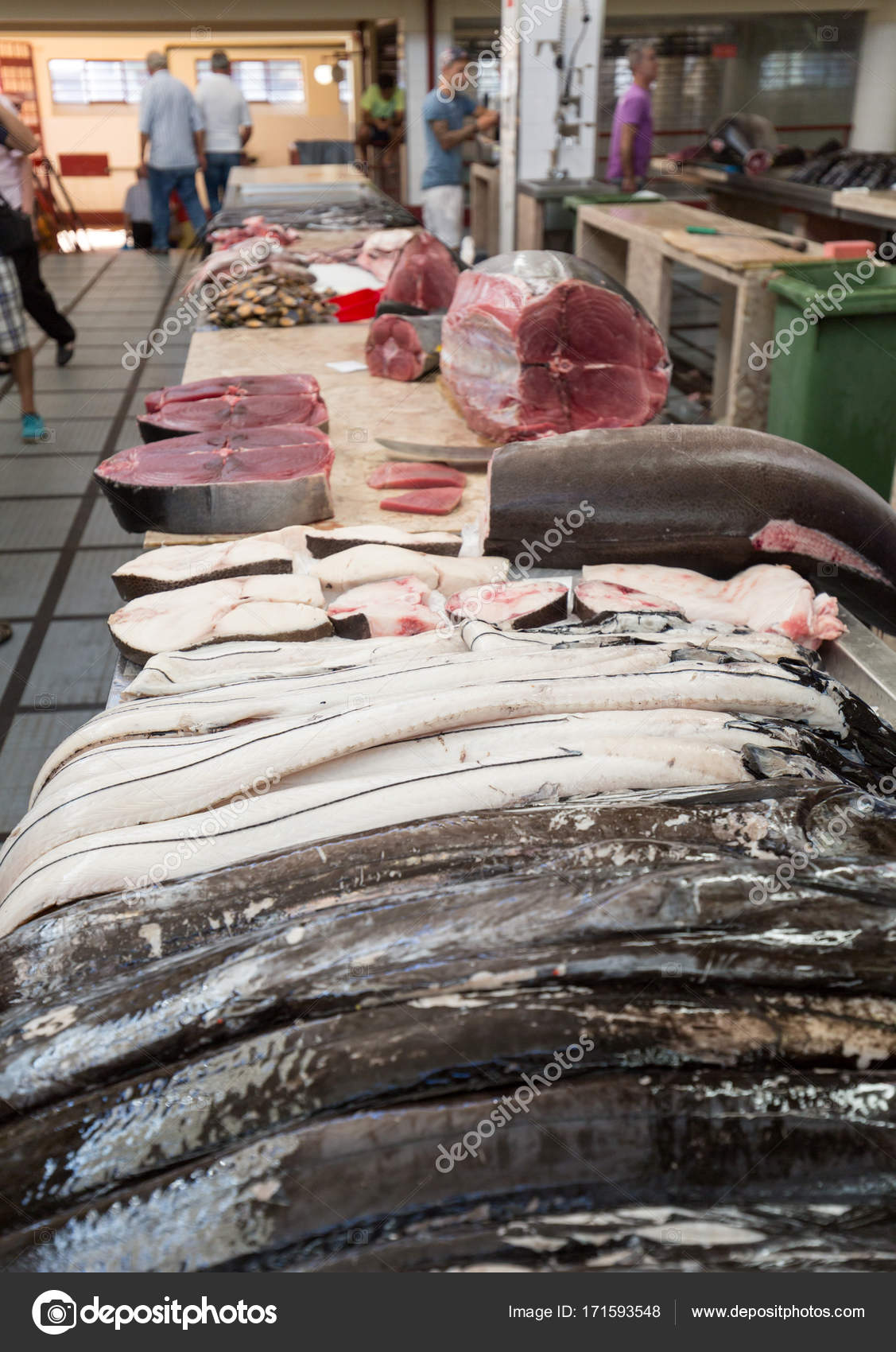 Product building fish catch