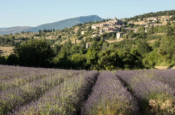 Levandulová pole s vesnici Aurel mimo, Vaucluse, Provence, Francie — Stock fotografie