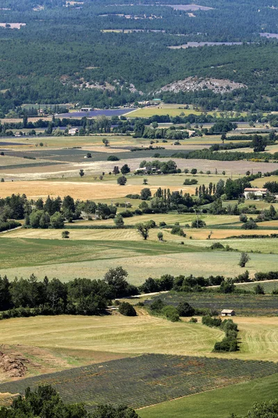 Lapptäcke av bondens fält i dalen nedanför Sault, Provence Frankrike — Stockfoto