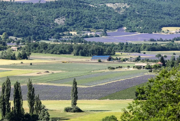 Çiftçinin alanları aşağıda Sault, Provence Fransa Vadisi'nde patchwork — Stok fotoğraf