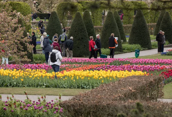 Lisse, Hollanda, Hollanda Keukenhof Garden ziyaretçi. — Stok fotoğraf