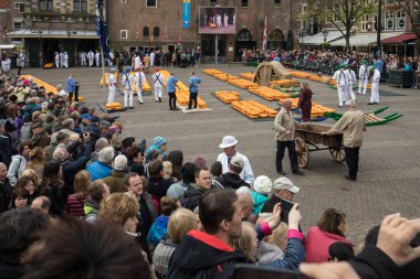 Hollanda, sadece dört geleneksel Hollanda peynir piyasalarda hala varlığını ve bir ülkenin en popüler turistik Alkmaar şehir tipik peynir pazarı