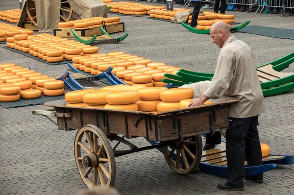 Typischer Käsemarkt in der Stadt Alkmaar in den Niederlanden, einer der nur noch vier traditionellen holländischen Käsemärkte und eine der beliebtesten Touristenattraktionen des Landes — Stockfoto