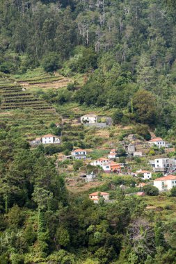  Sao Vicente 'nin çevresindeki köy ve teras ekimi. Madeira Adası, Portekiz 'in kuzey kıyısı.