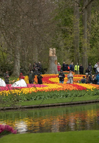 Lisse, Hollanda, Hollanda Keukenhof Garden ziyaretçi. — Stok fotoğraf