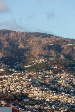 Panoramik Funchal, Madeira Adası üzerinde. Portekiz