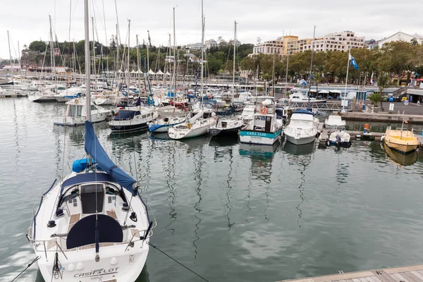 Yates amarrados en el puerto de Funchal, isla de Madeira, Portugal —  Fotos de Stock