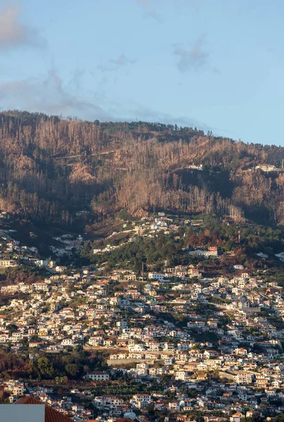 Panoramisch zicht van Funchal op het eiland Madeira. Portugal — Stockfoto