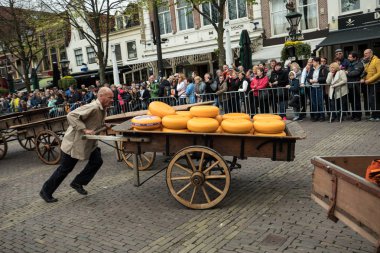 Alkmaar, Hollanda - 21 Nisan 2017: Tipik peynir pazarı şehir Alkmaar Hollanda, sadece dört geleneksel Hollanda peynir piyasalarda hala varlığını ve bir ülkenin en popüler turistik. 
