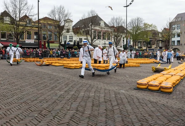 Alkmaar, Hollanda - 21 Nisan 2017: Alkmaar, Hollanda ünlü Hollandalı peynir pazarında birçok peynir ile yürüyüş uçak gemisi. Waagplein Meydanı'nda olay olur. 