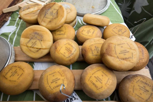 Alkmaar Netherlands April 2017 Dutch Cheese Street Market Alkmaar Netherlands — Stock Photo, Image